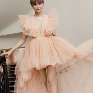 Giambattista Valli x HM tulle dress US 2 NWT